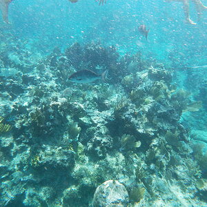 GOPR0271.JPG