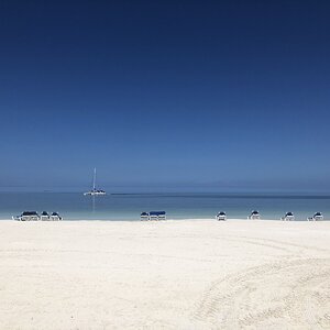 IMG_2325.jpg