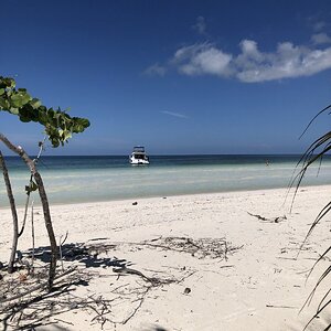 IMG_2346.jpg