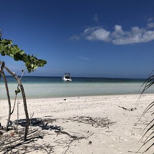 IMG_2347.jpg