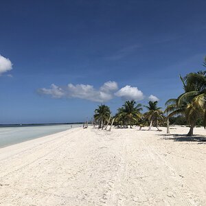 IMG_2359.jpg