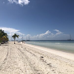 IMG_2361.jpg