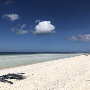 IMG_2363.jpg