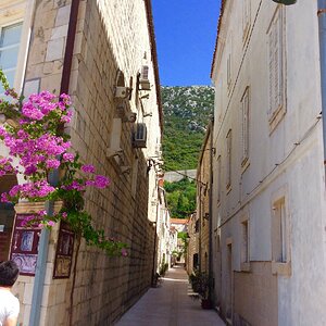 2019-07-01 09.38.16.jpg