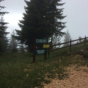2019-07-04 16.28.15.jpg