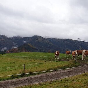 IMG-20191029-WA0127.jpg
