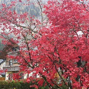IMG-20191029-WA0125.jpg