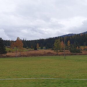 IMG-20191029-WA0130.jpg