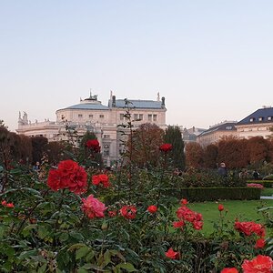 IMG-20191026-WA0111.jpg