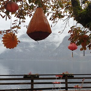 IMG-20191029-WA0121.jpg