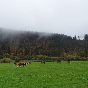IMG-20191029-WA0034.jpg