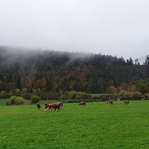 IMG-20191029-WA0037.jpg
