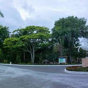 Samana 0552-Pano (Copiar).jpg