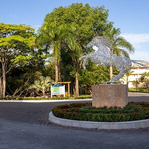 Samana 0722-Pano (Copiar).jpg