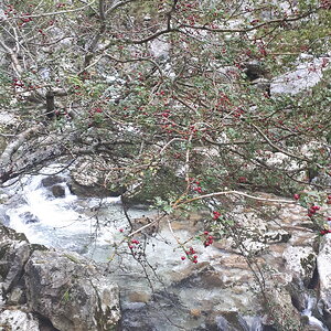 20191101_124336.jpg