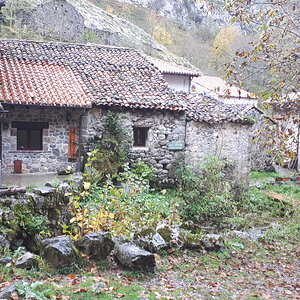 20191101_141159.jpg