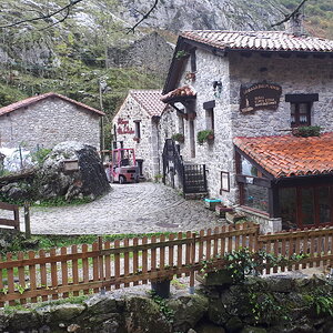 20191101_141223.jpg
