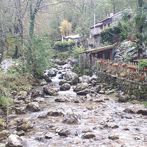20191101_141254.jpg