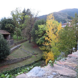 IMG_1372.JPG