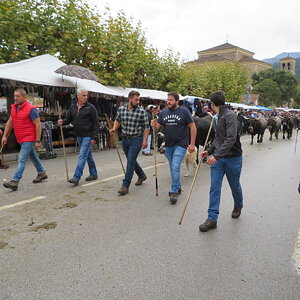 IMG_1425.JPG