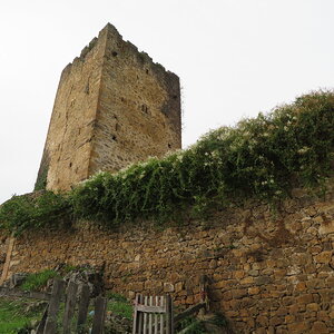IMG_1467.JPG