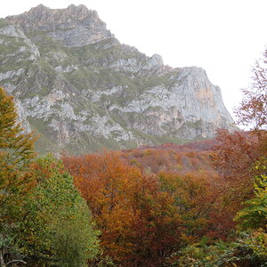 IMG_1490.JPG