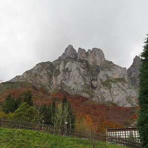 IMG_1494.JPG
