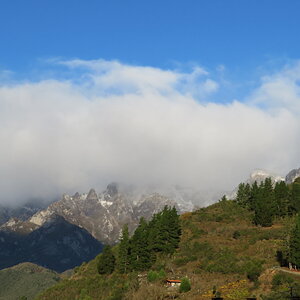 IMG_1515.JPG