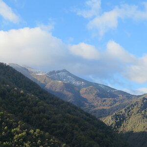 IMG_1520.JPG