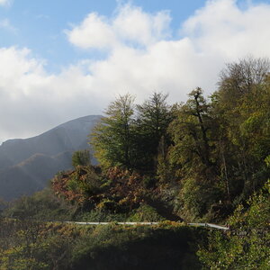IMG_1524.JPG