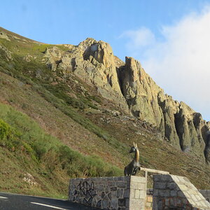IMG_1534.JPG