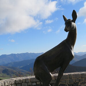 IMG_1535.JPG