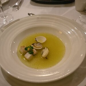 Samana 1711 (Copiar).jpg
