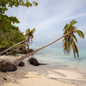 Samana 0183 (Copiar).jpg