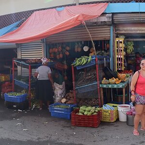 Samana Limon 004 (Copiar).jpg