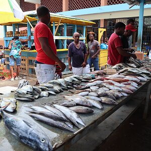 Samana 0792 (Copiar).JPG