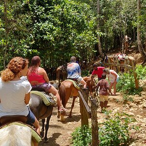 IMG_20190610_124615 (Copiar).jpg