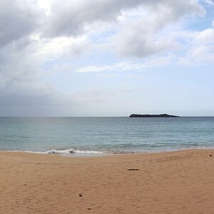 Samana Moron 001 (Copiar).jpg