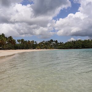 Samana 1506 (Copiar).JPG