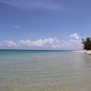 Samana 1509 (Copiar).JPG