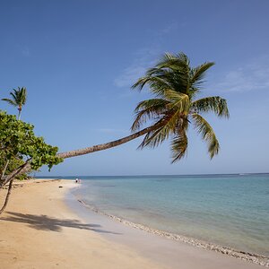 Samana 1331 (Copiar).jpg