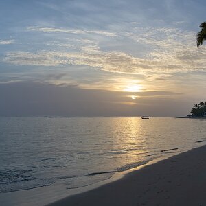 Samana 1158-Pano (Copiar).jpg
