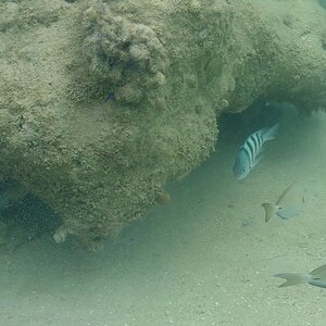Samana Hotel 039 (Copiar).jpg