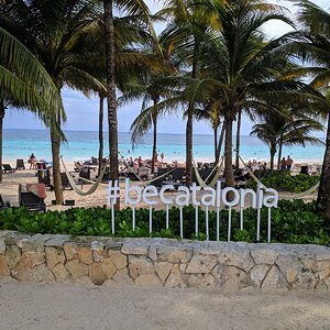 Catalonia Royal Tulum