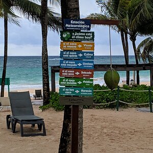 Catalonia Royal Tulum