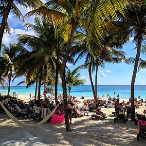 Catalonia Royal Tulum