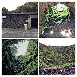 IMG_4977-COLLAGE.jpg