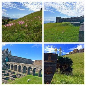 IMG_4705-COLLAGE.jpg