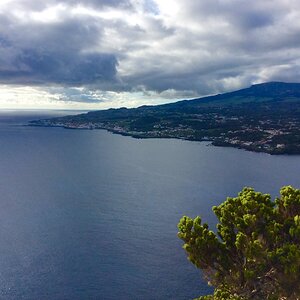 IMG_5012(1).jpg