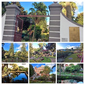 IMG_5263-COLLAGE.jpg